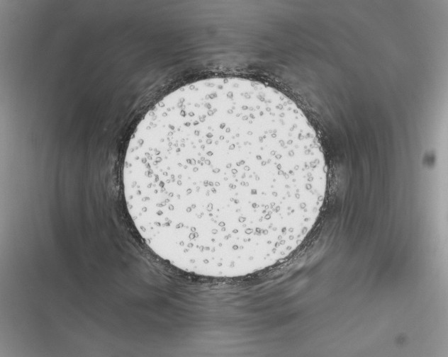 X0000116621202201001221332