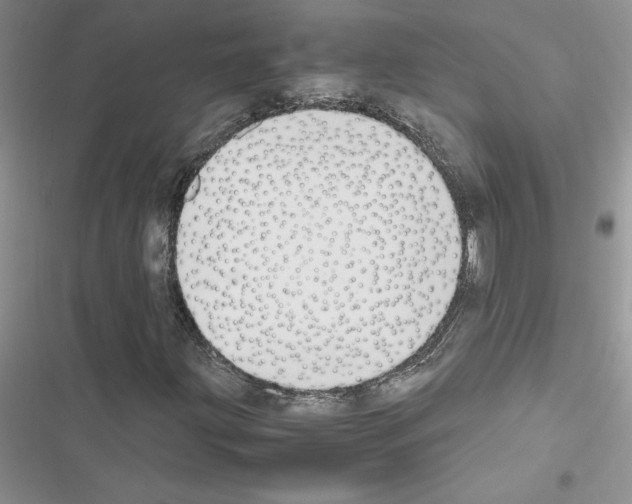 X0000116621203201001221332