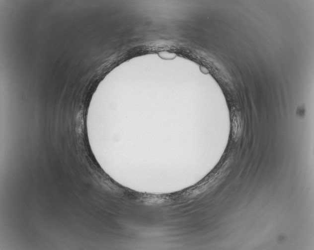 X0000116621204201001221332