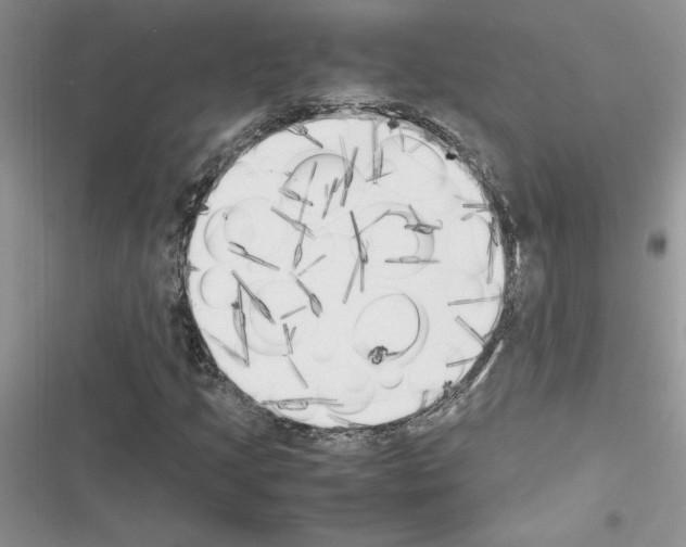 X0000116621205201001221332