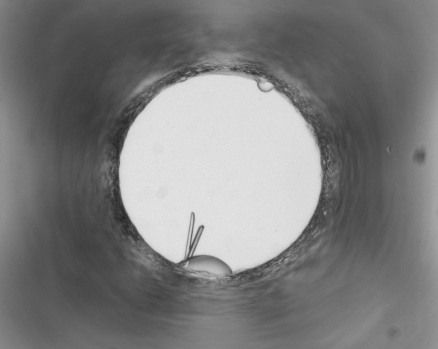 X0000116621206201001221332