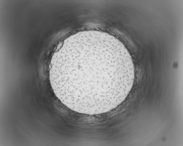 X0000116621207201001221332