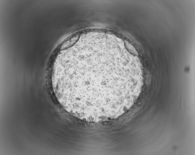 X0000116621208201001221333