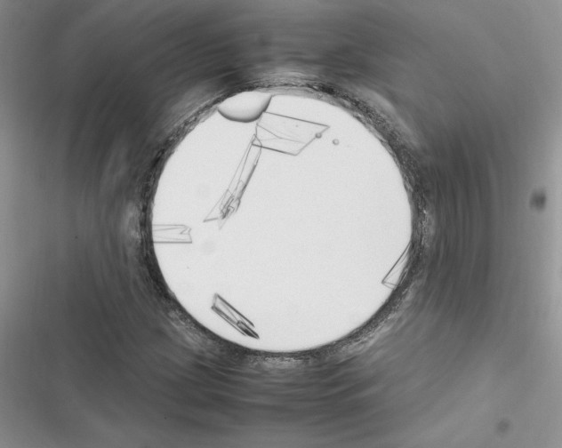 X0000116621209201001221333