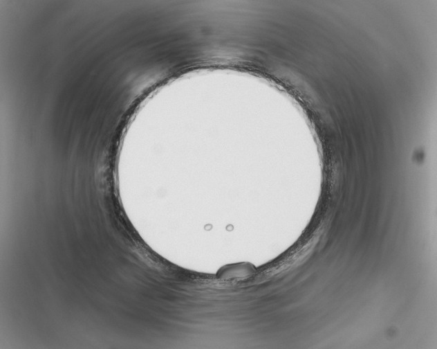 X0000116621210201001221333