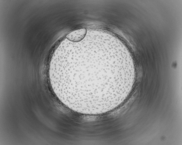 X0000116621211201001221333