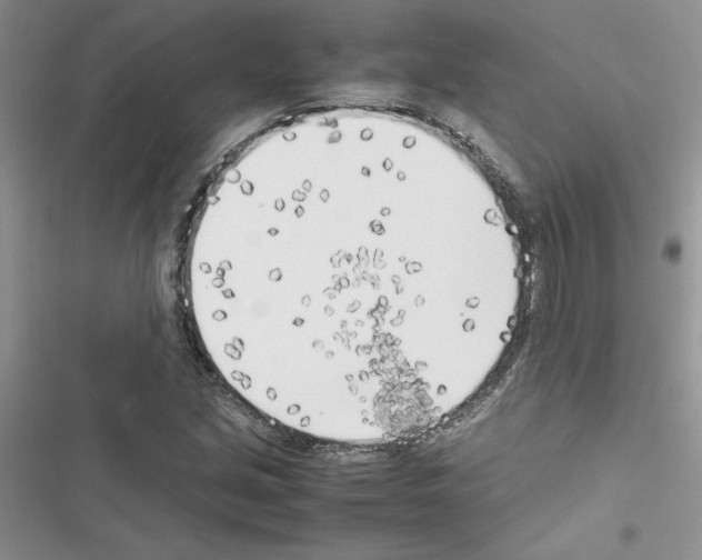 X0000116621213201001221333