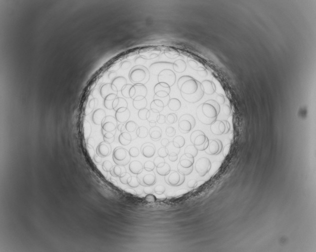 X0000116621216201001221333