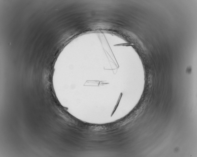 X0000116621217201001221333