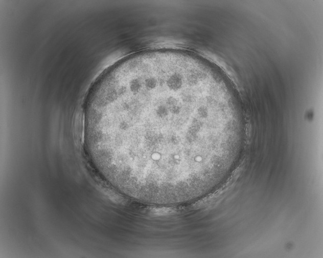 X0000116621219201001221333