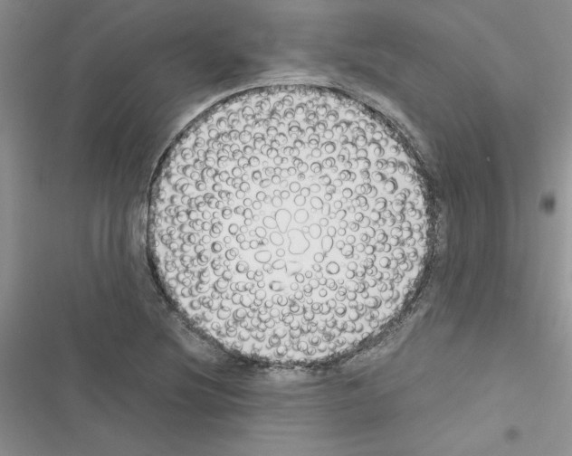 X0000116621220201001221333