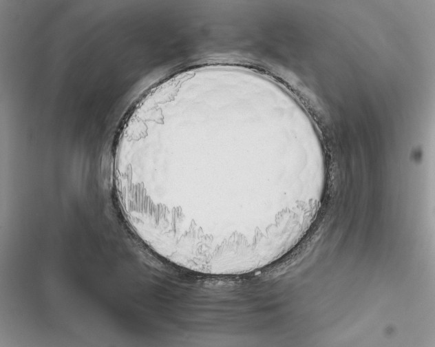 X0000116621221201001221333