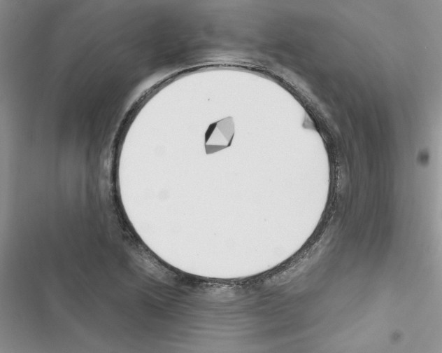 X0000116621222201001221333