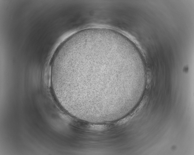 X0000116621223201001221333