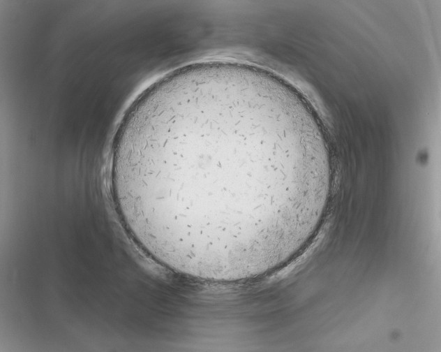 X0000116621224201001221333