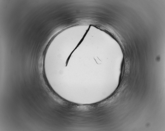 X0000116621227201001221333