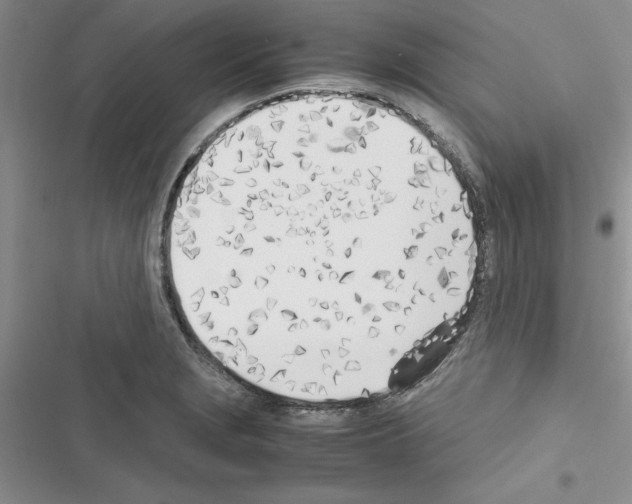 X0000116621229201001221333