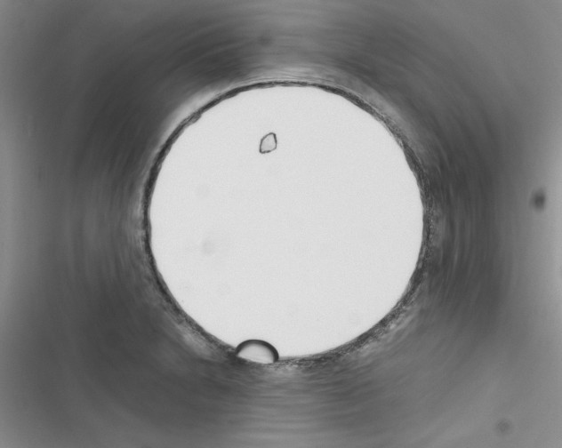 X0000116621230201001221333
