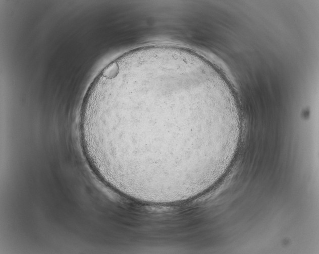 X0000116621231201001221333