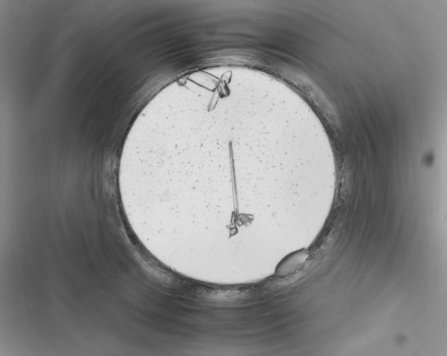 X0000116621233201001221333