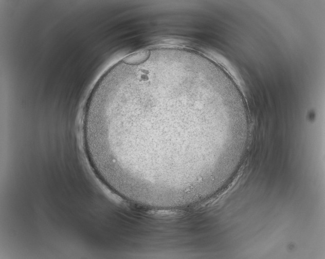 X0000116621235201001221333