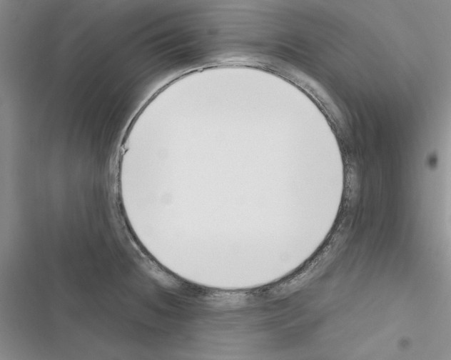 X0000116621236201001221333
