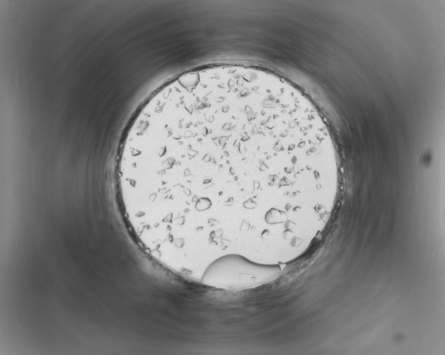 X0000116621237201001221333