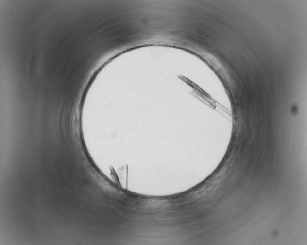 X0000116621238201001221333