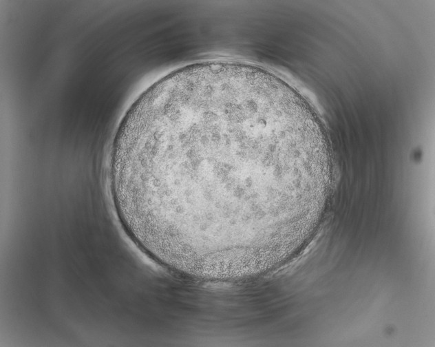 X0000116621239201001221333