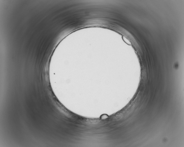 X0000116621242201001221333