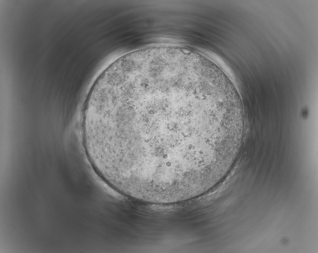 X0000116621243201001221333