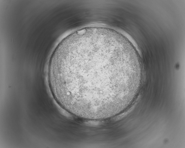 X0000116621245201001221333