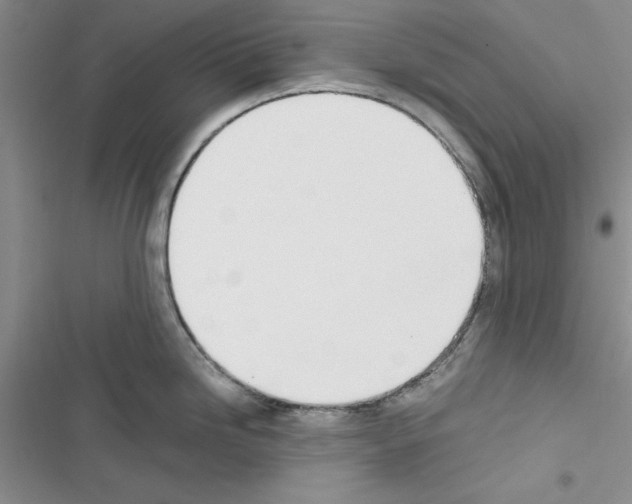 X0000116621246201001221333