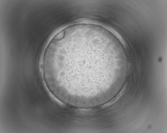 X0000116621247201001221333