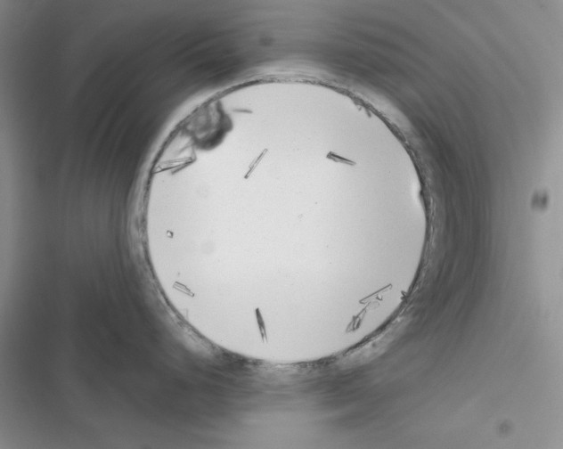 X0000116621248201001221333