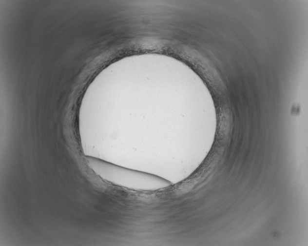 X0000116621249201001221332