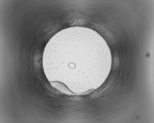 X0000116621250201001221332