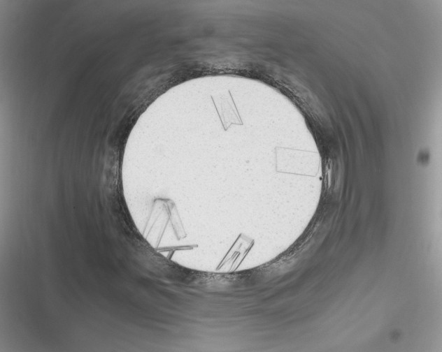 X0000116621251201001221332