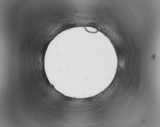 X0000116621252201001221332