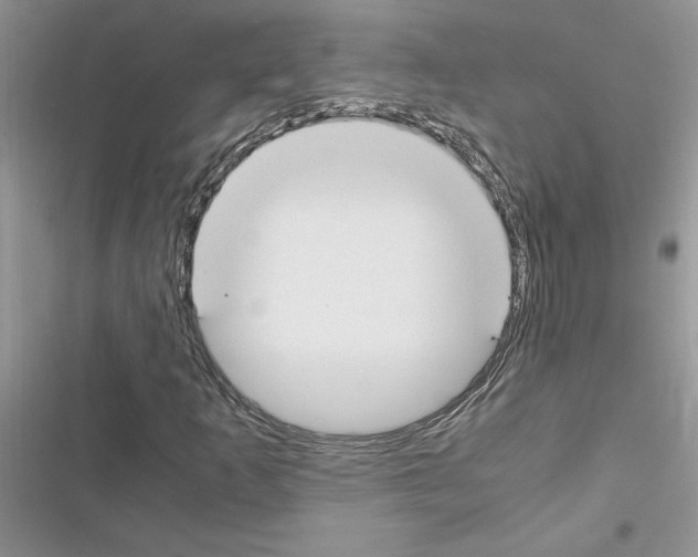 X0000116621253201001221332