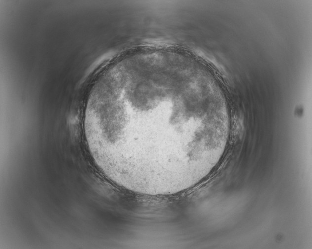 X0000116621254201001221332