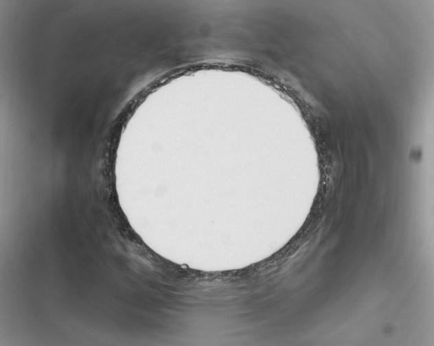 X0000116621256201001221332