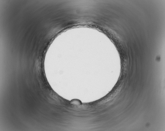 X0000116621257201001221332