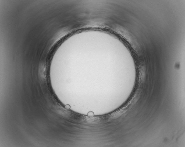 X0000116621258201001221332