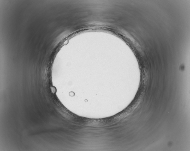 X0000116621259201001221332