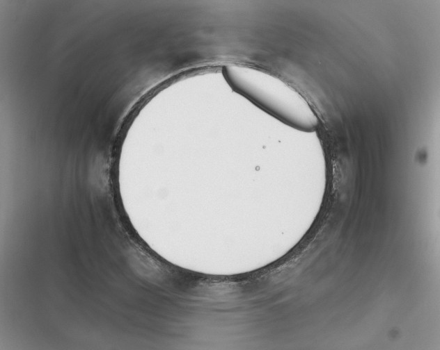 X0000116621260201001221332