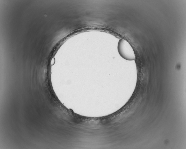 X0000116621261201001221332