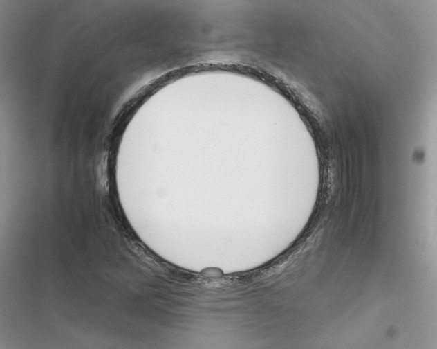 X0000116621262201001221332