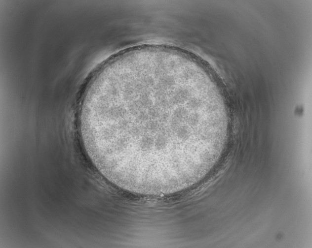 X0000116621263201001221332