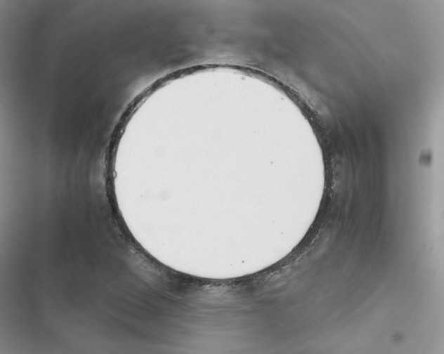 X0000116621264201001221332